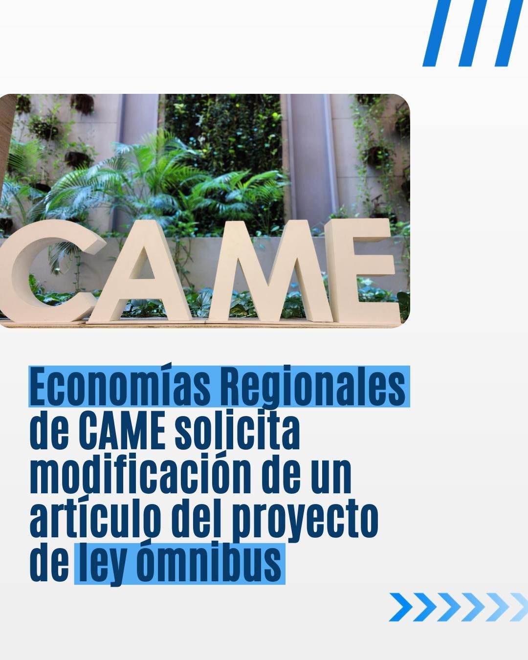 Economías Regionales de CAME solicita modificación de un artículo del proyecto de ley ómnibus