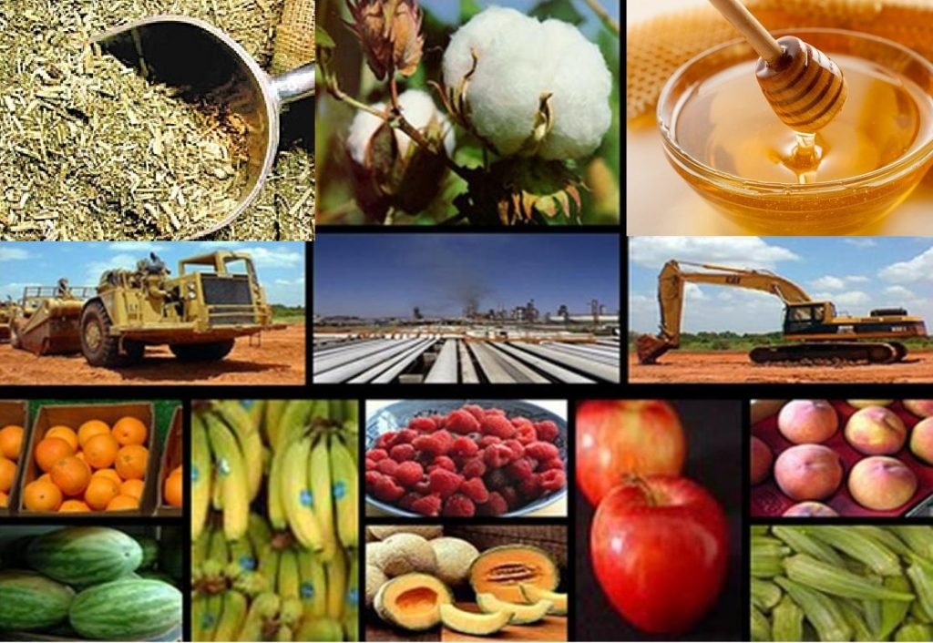 Economías regionales: Coninagro alertó por las secuelas de la sequía y según sus indicadores solo dos producciones están creciendo