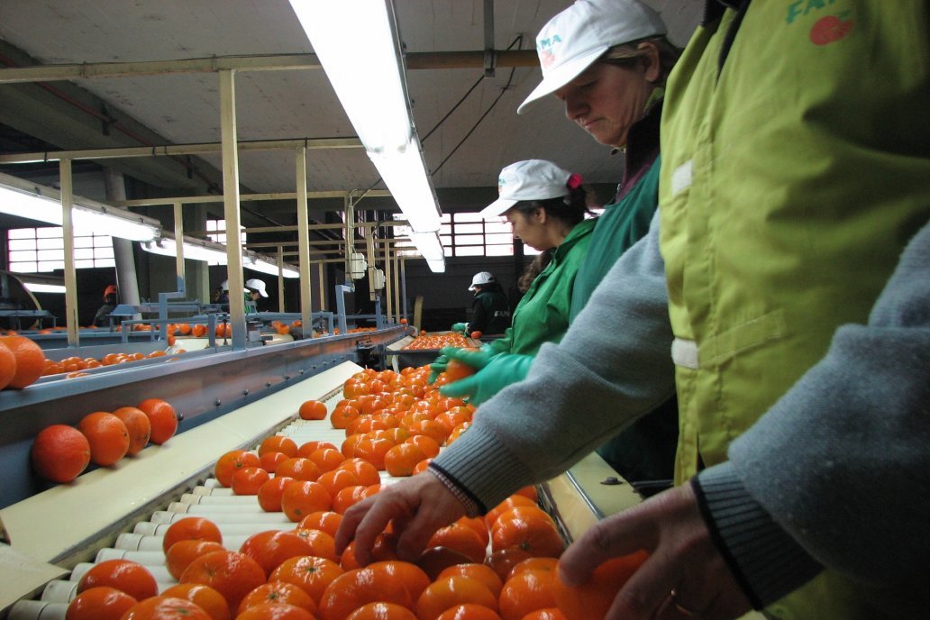 Conformaron la Mesa de Producción Orgánica de Entre Ríos para fortalecer el crecimiento del sector