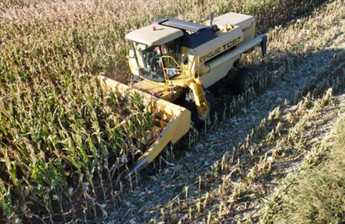 Entre Ríos: retraso en las labores de cosecha