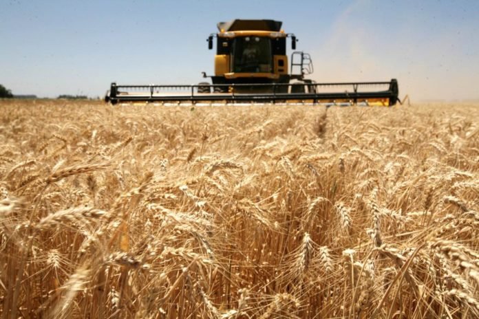 Sector agropecuario: calculan que ingresarán U$S 28.800 millones extra en 10 años