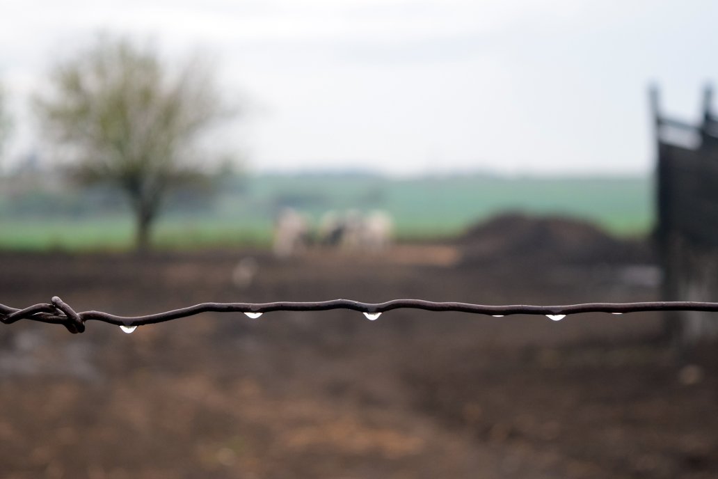 Expertos determinaron que será neutral la tendencia climática durante la actual campaña agrícola