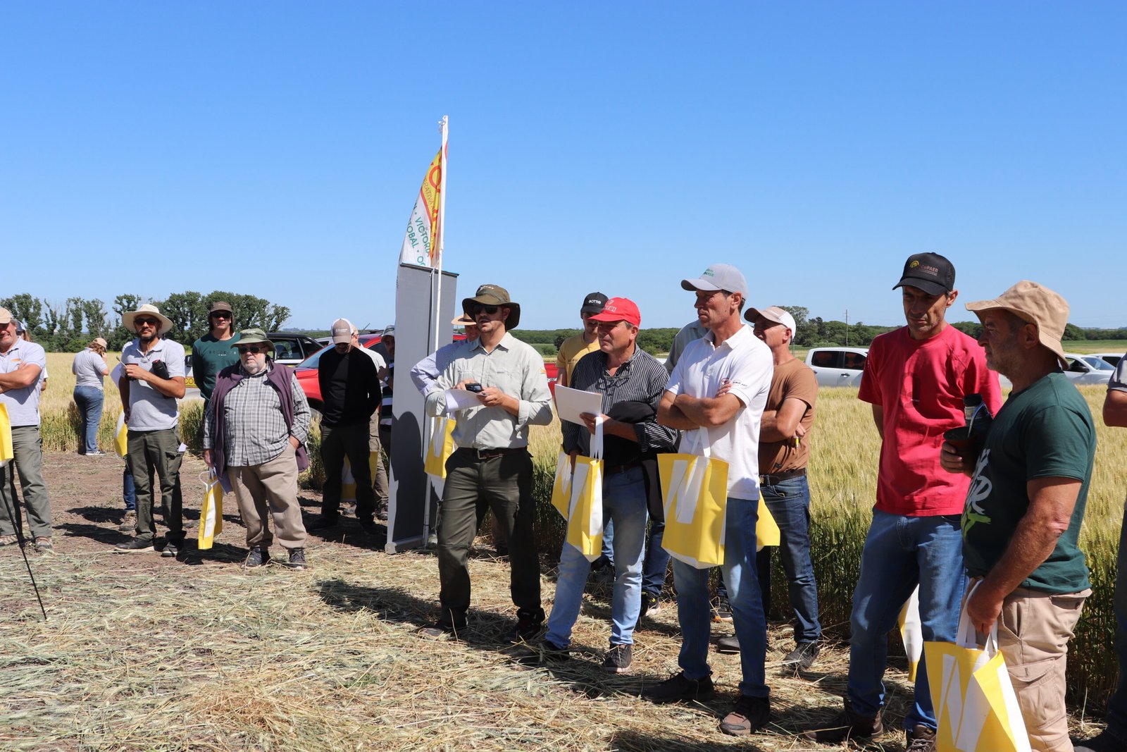Jornada de trigo 2025: Coopar presentó su ensayo de franjas en Nogoyá